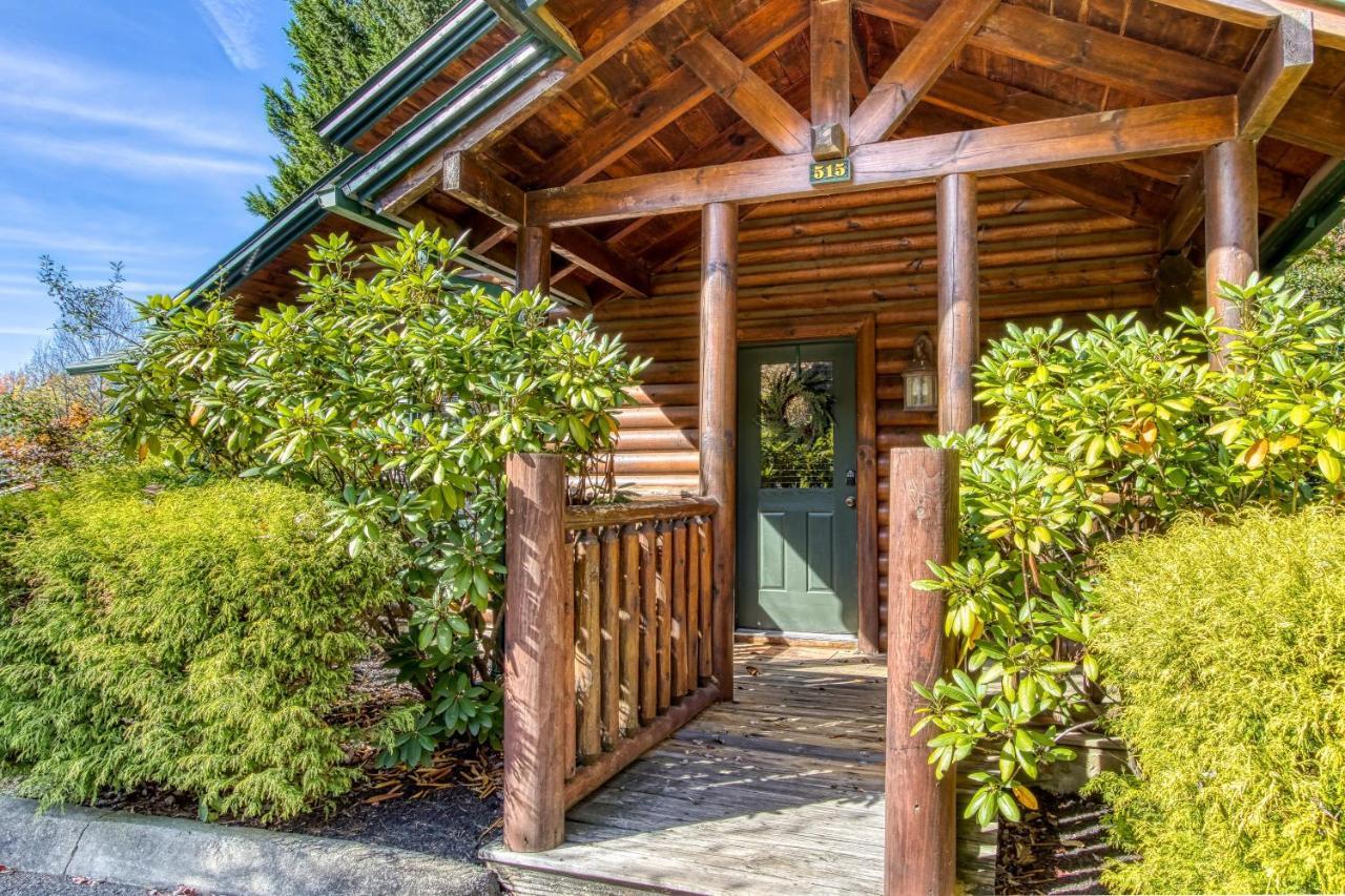 Dog Friendly, Romantic Mtn Getaway Hot Tub Pool Gatlinburg Eksteriør billede