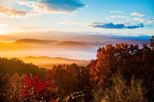 Dog Friendly, Romantic Mtn Getaway Hot Tub Pool Gatlinburg Eksteriør billede
