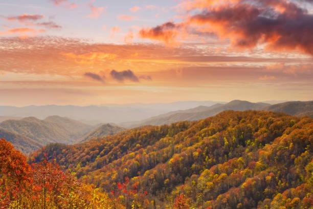 Dog Friendly, Romantic Mtn Getaway Hot Tub Pool Gatlinburg Eksteriør billede